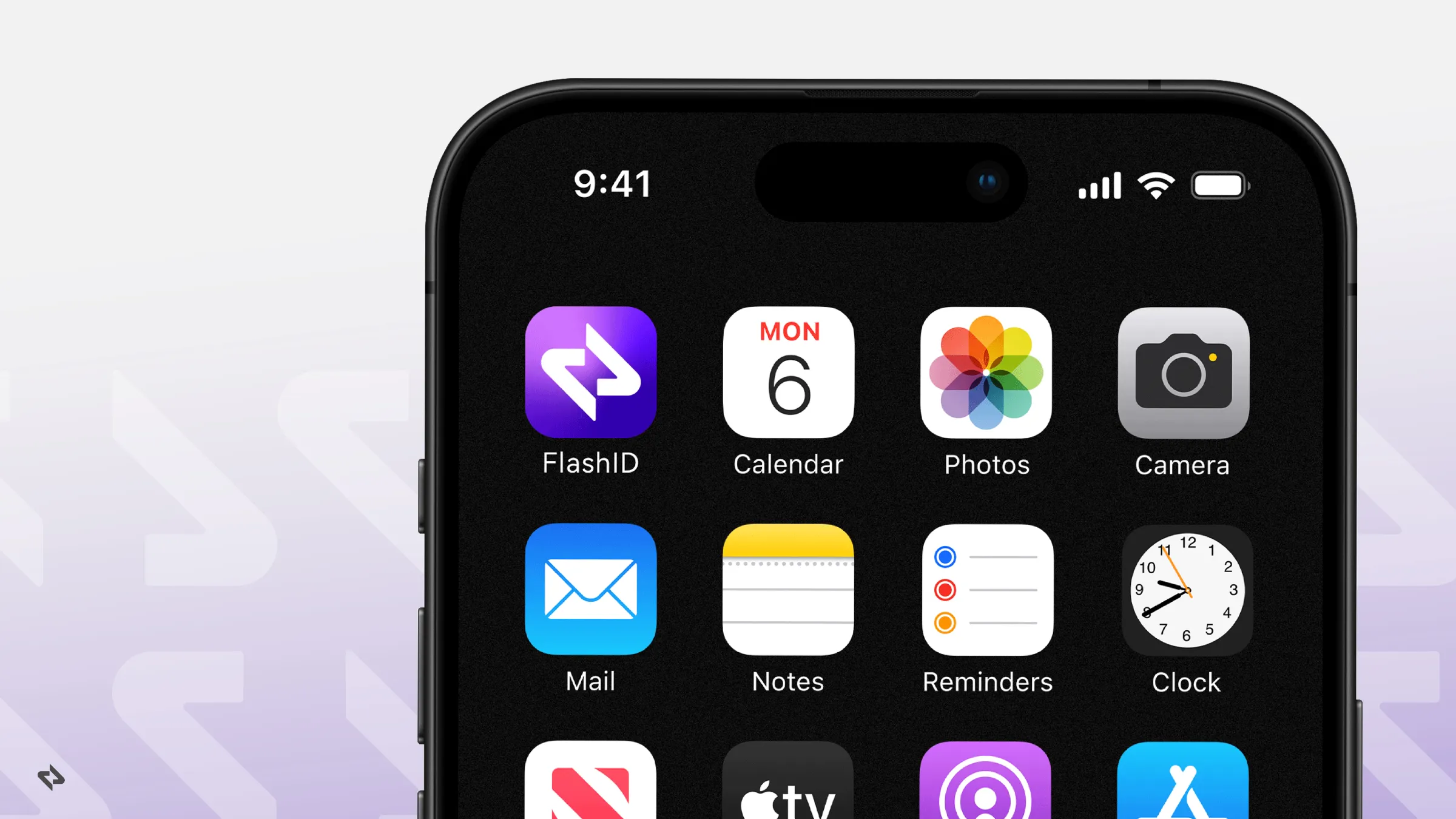 FlashID brand style guides