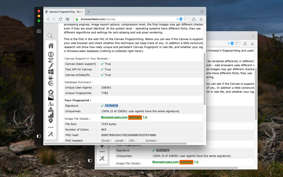 Ultimate Canvas Fingerprinting Protection