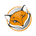FoxyProxy icon