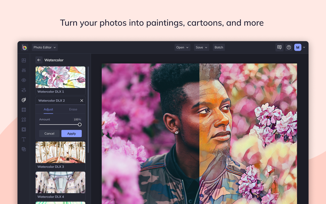 Multiple BeFunky Accounts