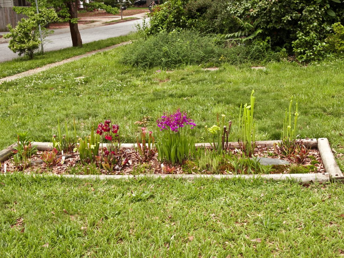 Multiple ICPS Proboards Accounts