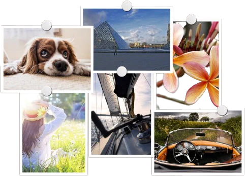 Multiple ImageVenue Accounts