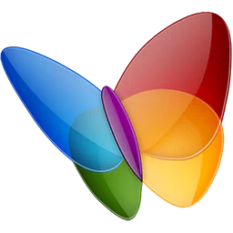 MSN icon