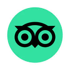 TripAdvisor icon