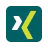 Xing icon